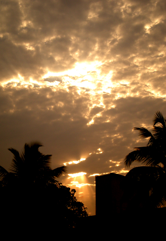 day of the glimmering dawn