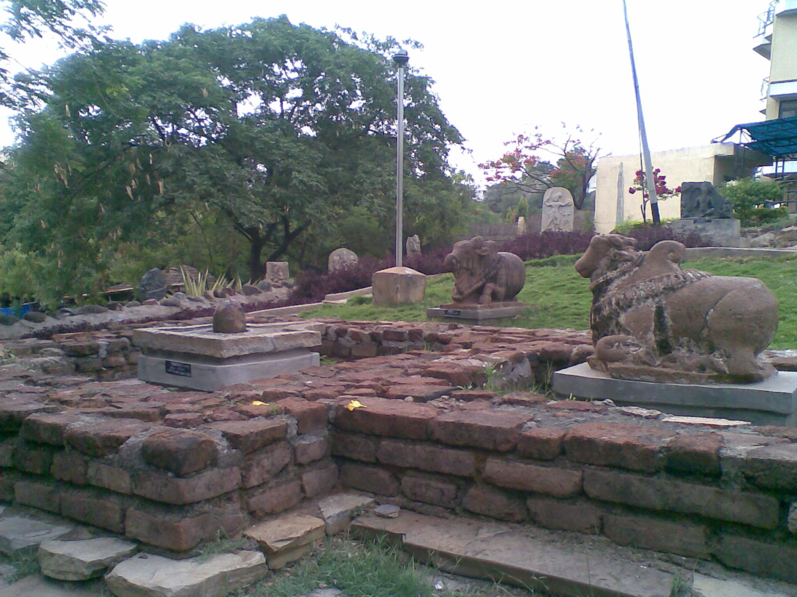 SHIVA Nandi