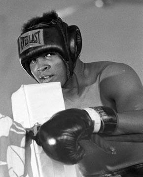 Happy Birthday - ALI!