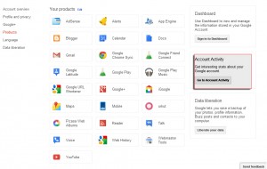 Google products account activity