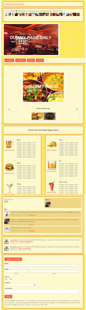 Custom Brand Page Apps integration on facebook digital agency mumbai techdivine