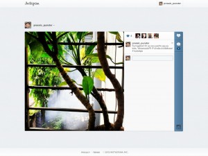 Instagram web view updates