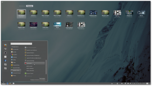 Linux Mint Cinnamon desktop