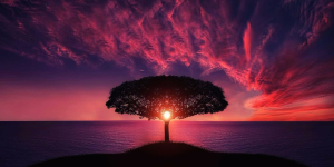 happy new year welcome 2017